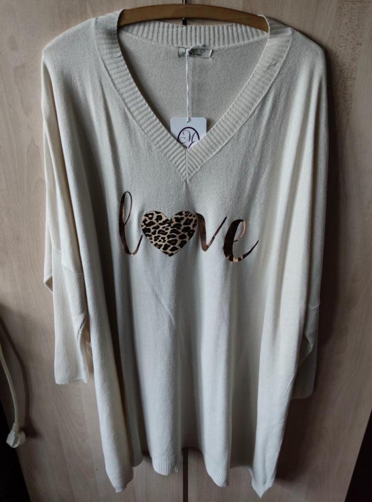 2 pulls, tunique, Kleding | Dames, Blouses en Tunieken, Nieuw, Maat 46/48 (XL) of groter, Beige, Verzenden