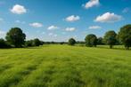Gezocht akkerland/weiland/grasland (huren), Dieren en Toebehoren, Stalling en Weidegang, Weidegang