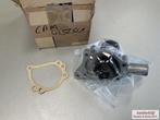 Waterpomp  Austin Metro CAM4256SLP, Auto-onderdelen, Motor en Toebehoren, Ophalen of Verzenden, Nieuw, Austin
