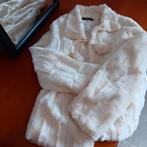 Maat M, Kleding | Dames, Bodywarmers, Ophalen of Verzenden, Zo goed als nieuw, Maat 38/40 (M)
