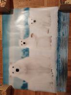 Een poster met 3 ijsberen erop kleur wit en blauw, Diversen, Kerst, Ophalen