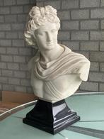 Borstbeeld Apollo Belvedère Austin Productions, Antiquités & Art, Art | Sculptures & Bois, Enlèvement