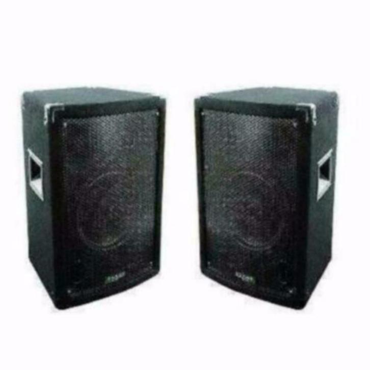 Disco speaker TP-8Inch 3-Weg,300Watt 093, Audio, Tv en Foto, Luidsprekerboxen, Nieuw, Overige typen, Ophalen of Verzenden