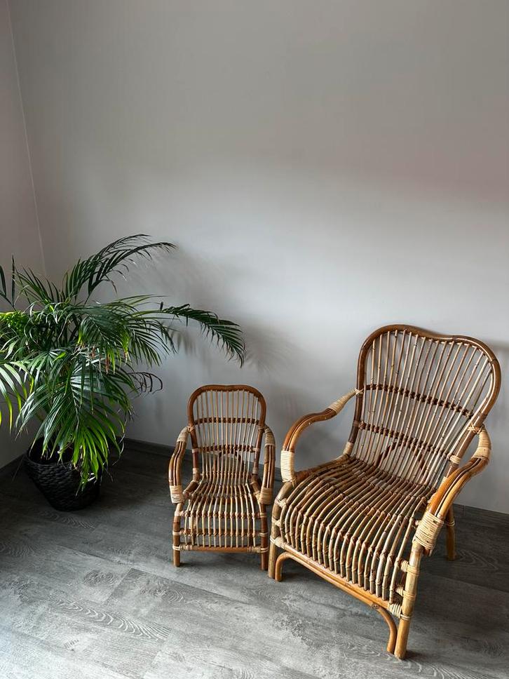 Rieten stoelen, Huis en Inrichting, Stoelen, Zo goed als nieuw, Twee, Riet of Rotan, Bruin, Ophalen
