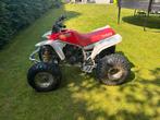Yamaha blaster 200