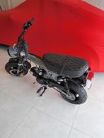 EXCLUSIEVE HONDA DAX DE LUXE RETRO, Ophalen, Gebruikt, Overige modellen, 49 cc