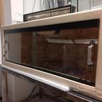 Terrarium met ballpythons, Dieren en Toebehoren, Reptielen en Amfibieën, Slang, Met terrarium, 3 tot 6 jaar