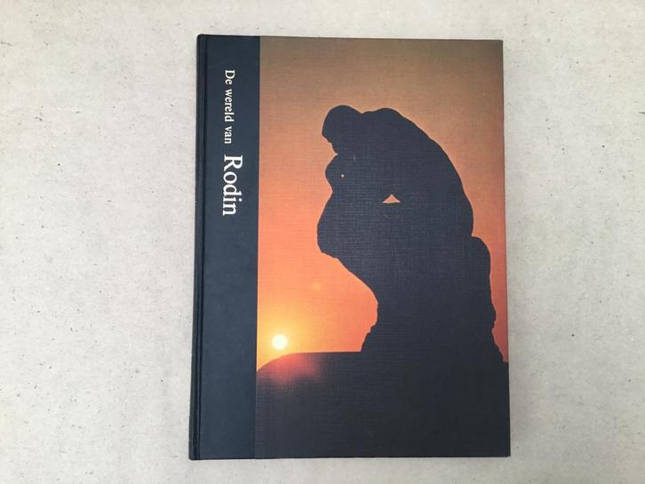 Boek De wereld van Rodin, Boeken, Kunst en Cultuur | Beeldend, Zo goed als nieuw, Beeldhouwkunst, Ophalen of Verzenden