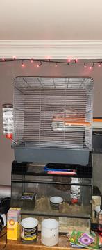Hamster kooi, Utilisé, Enlèvement ou Envoi