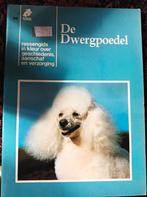 De dwergpoedel. Rassengids in kleur., Ophalen, Honden, VNK, Zo goed als nieuw