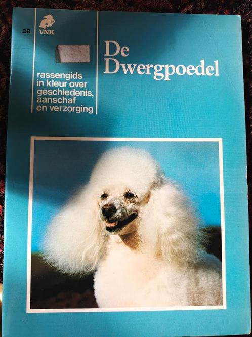 De dwergpoedel. Rassengids in kleur., Boeken, Dieren en Huisdieren, Zo goed als nieuw, Honden, Ophalen