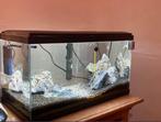 Aquarium, Dieren en Toebehoren, Vissen | Aquaria en Toebehoren, Ophalen, Zo goed als nieuw