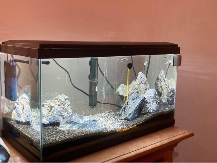 Aquarium, Dieren en Toebehoren, Vissen | Aquaria en Toebehoren, Zo goed als nieuw, Ophalen