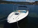 Sea Ray 220, 6 mètres ou plus, 200 ch ou plus, Enlèvement, Utilisé