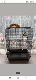 Cage oiseaux perruches, Enlèvement ou Envoi