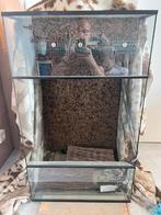 Terrarium met lichtlijst 60x50x100, Dieren en Toebehoren, Ophalen, Zo goed als nieuw