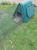 pluimvee, Dieren en Toebehoren, Kip