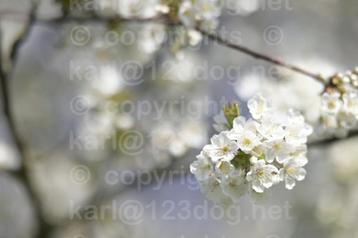 Viltrox AF 75mm 1.2 PRO voor Nikon Z beschikbaar voor biedingen
