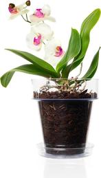 Orchidee Potset Transparante Bloempot GRATIS ELVERING, Tuin en Terras, Bloempotten, Kunststof, Verzenden, Rond, Nieuw