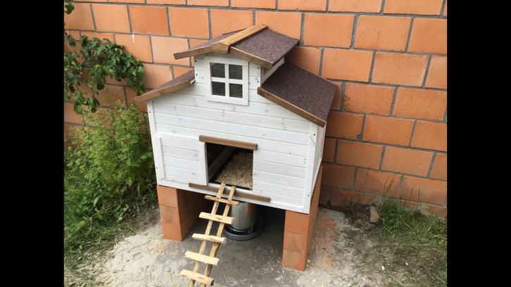 Kippenhok, Dieren en Toebehoren, Pluimvee | Toebehoren, Ophalen