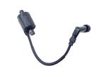 BOBINE Kymco X-Town 300 2016-2020 W11000 (3051A-LKF5-E01), Motoren, Gebruikt