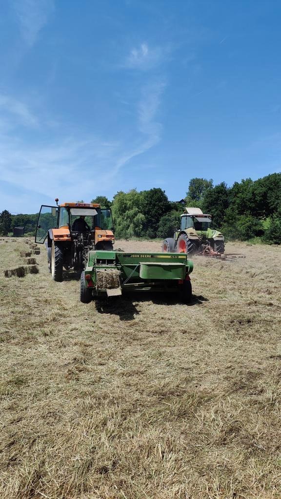 Petits ballots de foin et paille, Zakelijke goederen, Landbouw | Veevoer, Ophalen