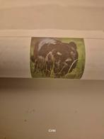 Diamond painting: zwarte panter ***nieuw***, Ophalen of Verzenden