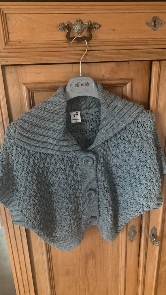 Gilet court gris dame taille M, Vêtements | Femmes, Pulls & Gilets, Porté, Taille 38/40 (M), Gris, Enlèvement ou Envoi