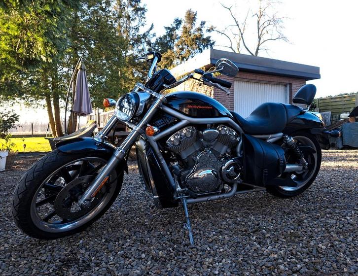 Harley Davidson V-Rod, Motoren, Motoren | Harley-Davidson, Particulier, Ophalen