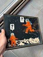 Plaque Tintin collection, Tintin
