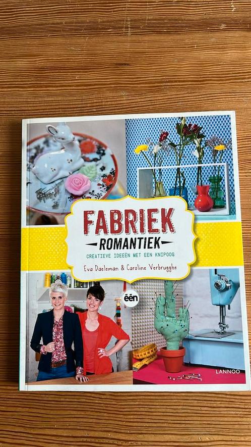 Koen Vanderweyden - Fabriek romantiek, Boeken, Overige Boeken, Zo goed als nieuw, Ophalen of Verzenden