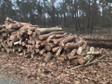 Brandhout stammen den te koop