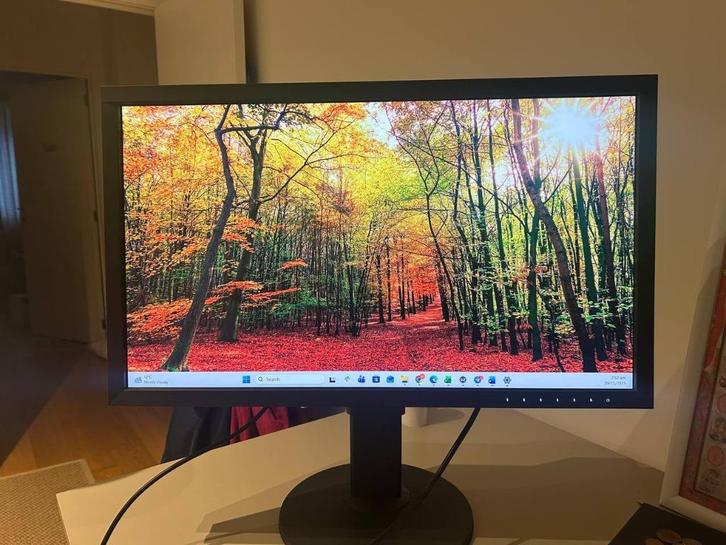 EIZO CS2740 — 27” 4K — 523 h — 1e eigenaar - perfect staat, Computers en Software, Monitoren, Zo goed als nieuw, 60 Hz of minder