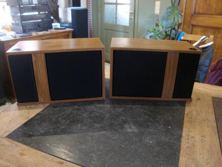 BOSE 301 SERIE 1...LA MEILLEURE DES 301, Audio, Tv en Foto, Luidsprekerboxen, Bose, Ophalen