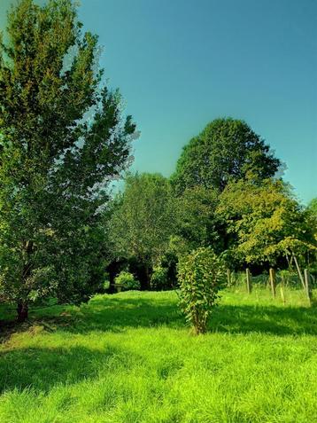 Terrain à vendre à Beersel beschikbaar voor biedingen