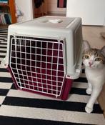 Caisse de transport pour chat ou petit chien, Enlèvement, Comme neuf