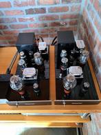 Monoblokversterker 300B SE Halgorythme, Ophalen, Versterker