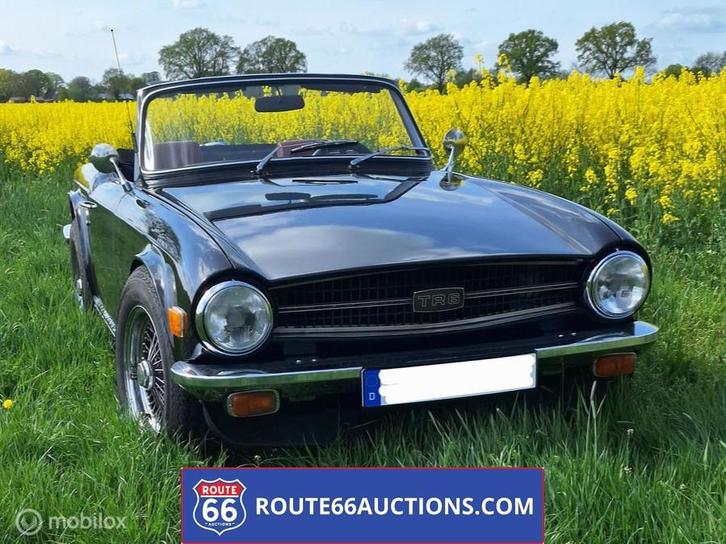 Triumph TR6 | 1976 | Route 66 Auctions, Autos, Oldtimers & Ancêtres, Entreprise, Achat, Triumph, Essence, Autre carrosserie, Boîte manuelle