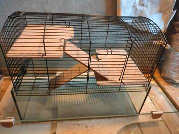 Glazen hamsterkooi  beschikbaar voor biedingen