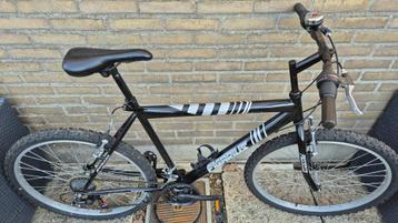 als Nieuw voor groei  van 1.m60 x 26 inch Maat 54cm beschikbaar voor biedingen