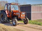 fiat 65-88, Zakelijke goederen, Landbouw | Tractoren, Ophalen, Gebruikt, Tot 80 Pk, Fiat