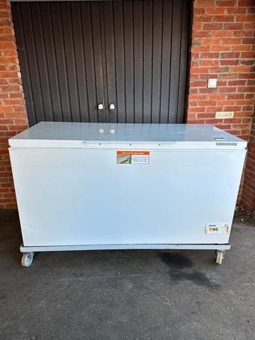 Diepvries liebherr 600 liter, Ophalen of Verzenden, Diepvries