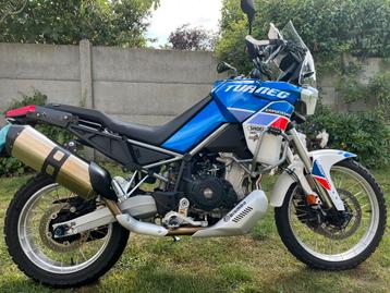 Aprilia Tuareg 660 - indaco tagelmust, Quickshifter, 2 cylindres, Particulier, 660 cm³