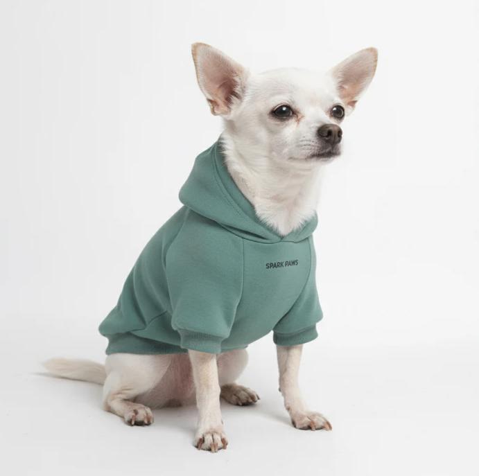 Hondenkleding, Animaux & Accessoires, Vêtements pour chiens, Neuf, Pull pour chien, Enlèvement ou Envoi