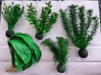 Kunststofplanten voor aquarium of terrarium, Ophalen of Verzenden