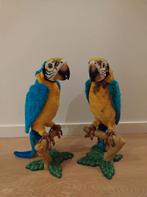 Interactieve papegaai, Kinderen en Baby's, Ophalen