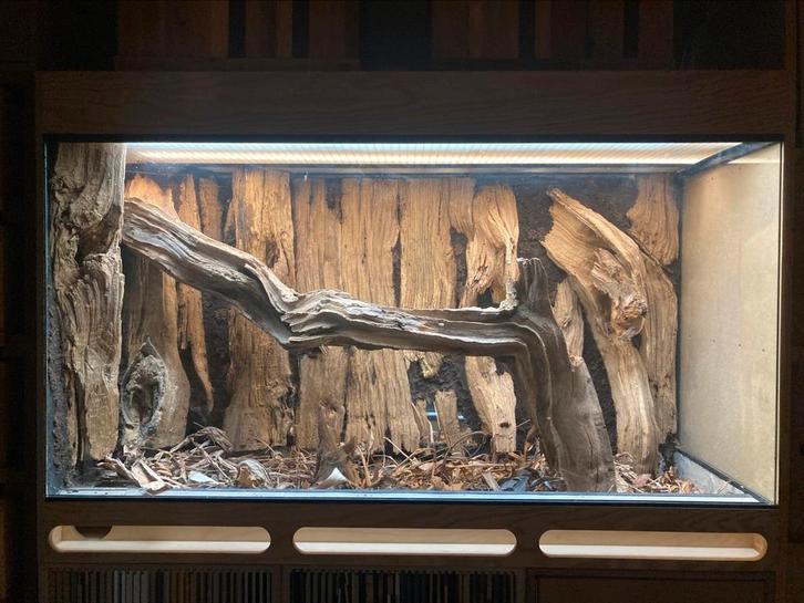 Terrarium paludarium, Animaux & Accessoires, Reptiles & Amphibiens | Accessoires, Neuf, Terrarium ou Paludarium, Enlèvement