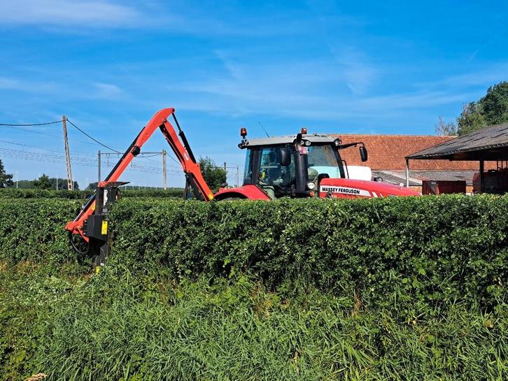 Landschapsonderhoud Snoeiwerken, Diensten en Vakmensen, Tuinmannen en Stratenmakers, Tuinonderhoud of Snoeiwerk