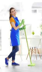 Femme de ménage, Offres d'emploi