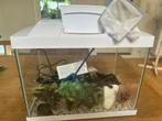 Visbokaal aquarium klein, Dieren en Toebehoren, Vissen | Aquaria en Toebehoren, Ophalen, Gebruikt